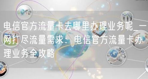 电信官方流量卡去哪里办理业务呢_一网打尽流量需求：电信官方流量卡办理业务全攻略