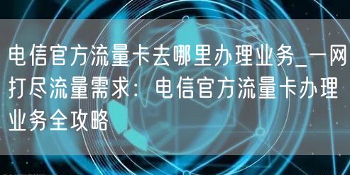 电信官方流量卡去哪里办理业务_一网打尽流量需求：电信官方流量卡办理业务全攻略