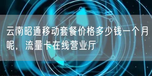 云南昭通移动套餐价格多少钱一个月呢，流量卡在线营业厅