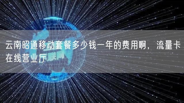云南昭通移动套餐多少钱一年的费用啊，流量卡在线营业厅