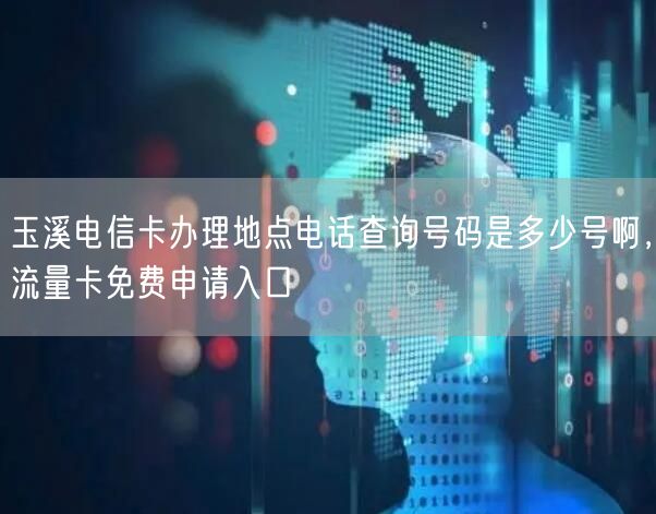 玉溪电信卡办理地点电话查询号码是多少号啊，流量卡免费申请入口
