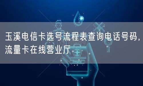 玉溪电信卡选号流程表查询电话号码，流量卡在线营业厅