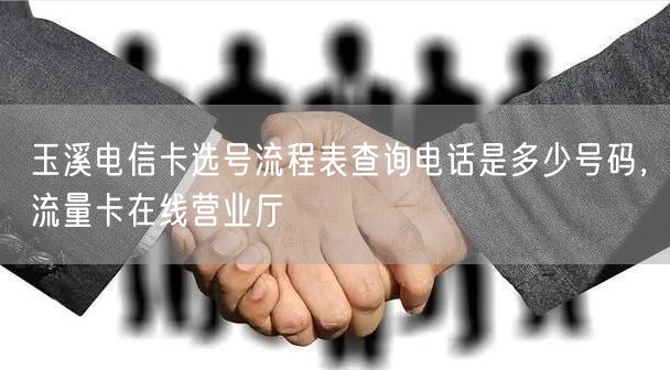 玉溪电信卡选号流程表查询电话是多少号码，流量卡在线营业厅