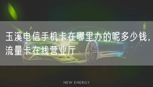 玉溪电信手机卡在哪里办的呢多少钱，流量卡在线营业厅
