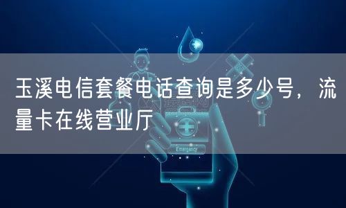 玉溪电信套餐电话查询是多少号，流量卡在线营业厅