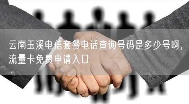 云南玉溪电信套餐电话查询号码是多少号啊，流量卡免费申请入口