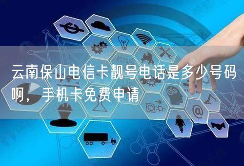 云南保山电信卡靓号电话是多少号码啊，手机卡免费申请