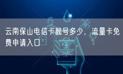 云南保山电信卡靓号多少，流量卡免费申请入口