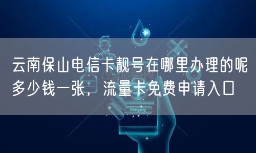 云南保山电信卡靓号在哪里办理的呢多少钱一张，流量卡免费申请入口