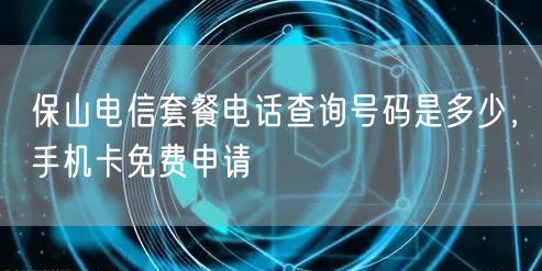 保山电信套餐电话查询号码是多少，手机卡免费申请
