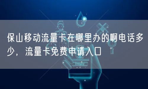 保山移动流量卡在哪里办的啊电话多少，流量卡免费申请入口