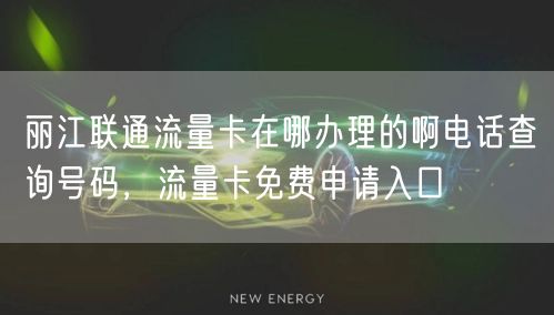丽江联通流量卡在哪办理的啊电话查询号码，流量卡免费申请入口