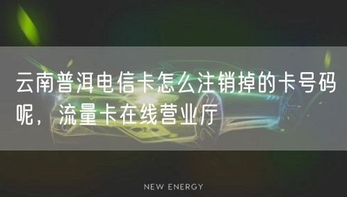 云南普洱电信卡怎么注销掉的卡号码呢，流量卡在线营业厅