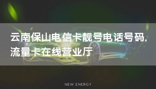 云南保山电信卡靓号电话号码，流量卡在线营业厅