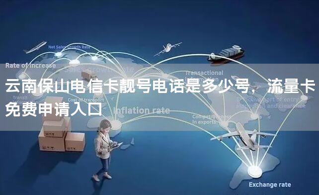 云南保山电信卡靓号电话是多少号，流量卡免费申请入口