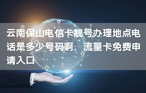 云南保山电信卡靓号办理地点电话是多少号码啊，流量卡免费申请入口