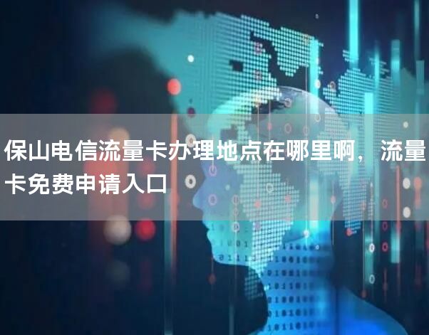 保山电信流量卡办理地点在哪里啊，流量卡免费申请入口