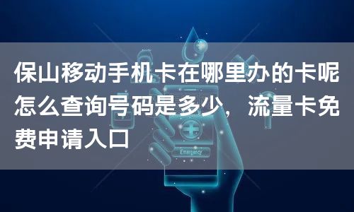 保山移动手机卡在哪里办的卡呢怎么查询号码是多少，流量卡免费申请入口