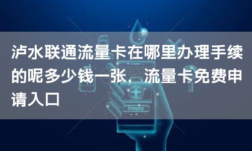 泸水联通流量卡在哪里办理手续的呢多少钱一张，流量卡免费申请入口