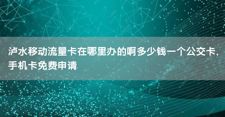 泸水移动流量卡在哪里办的啊多少钱一个公交卡，手机卡免费申请