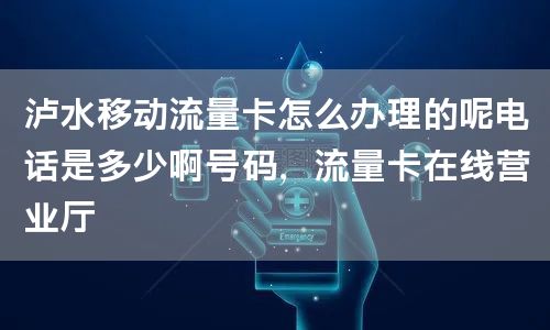 泸水移动流量卡怎么办理的呢电话是多少啊号码，流量卡在线营业厅