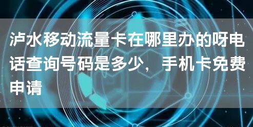泸水移动流量卡在哪里办的呀电话查询号码是多少，手机卡免费申请