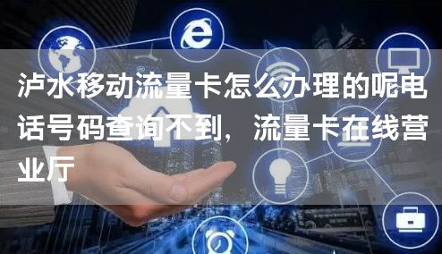 泸水移动流量卡怎么办理的呢电话号码查询不到，流量卡在线营业厅
