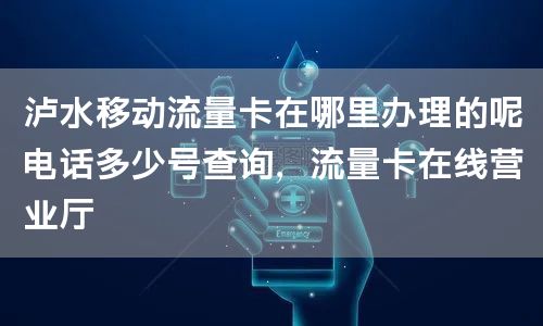 泸水移动流量卡在哪里办理的呢电话多少号查询，流量卡在线营业厅