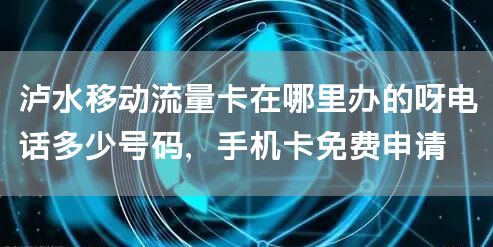 泸水移动流量卡在哪里办的呀电话多少号码，手机卡免费申请