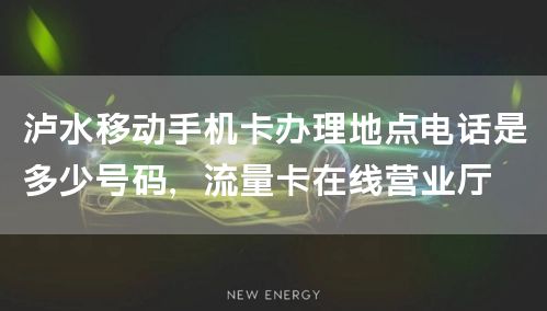 泸水移动手机卡办理地点电话是多少号码，流量卡在线营业厅