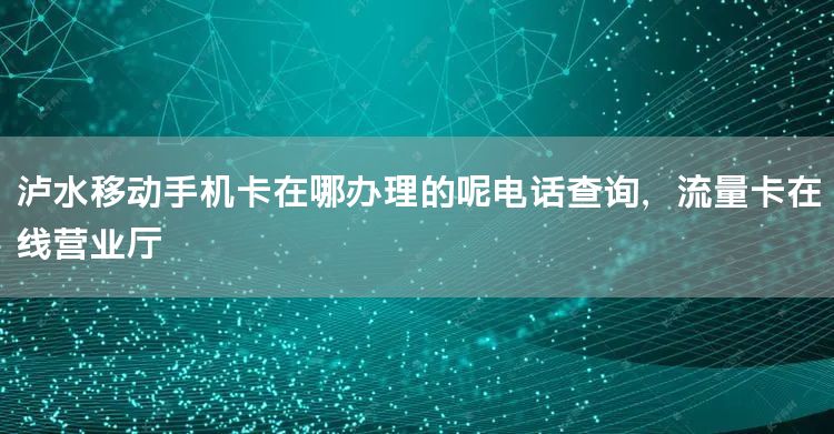 泸水移动手机卡在哪办理的呢电话查询，流量卡在线营业厅