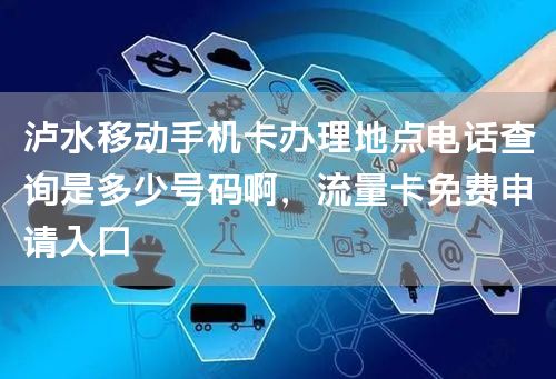 泸水移动手机卡办理地点电话查询是多少号码啊，流量卡免费申请入口