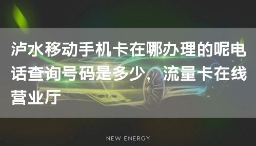 泸水移动手机卡在哪办理的呢电话查询号码是多少，流量卡在线营业厅