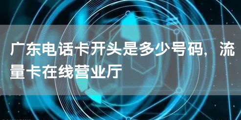 广东电话卡开头是多少号码，流量卡在线营业厅