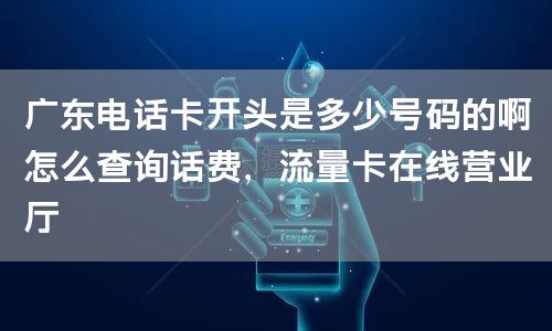 广东电话卡开头是多少号码的啊怎么查询话费，流量卡在线营业厅