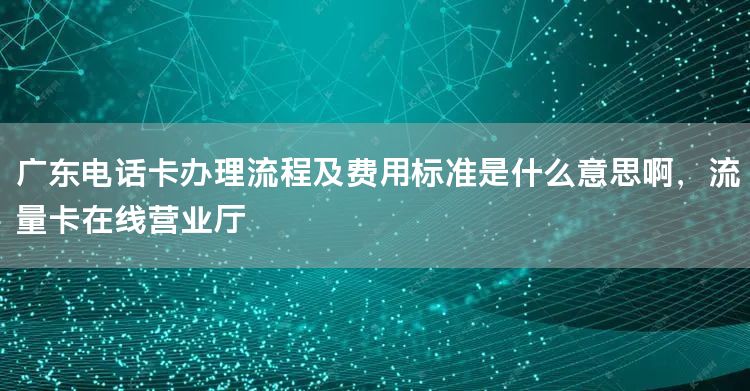 广东电话卡办理流程及费用标准是什么意思啊，流量卡在线营业厅
