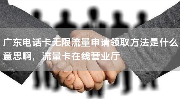 广东电话卡无限流量申请领取方法是什么意思啊，流量卡在线营业厅