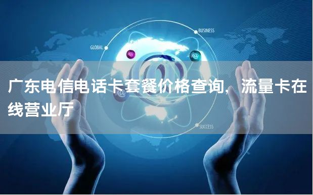 广东电信电话卡套餐价格查询，流量卡在线营业厅