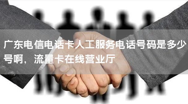 广东电信电话卡人工服务电话号码是多少号啊，流量卡在线营业厅
