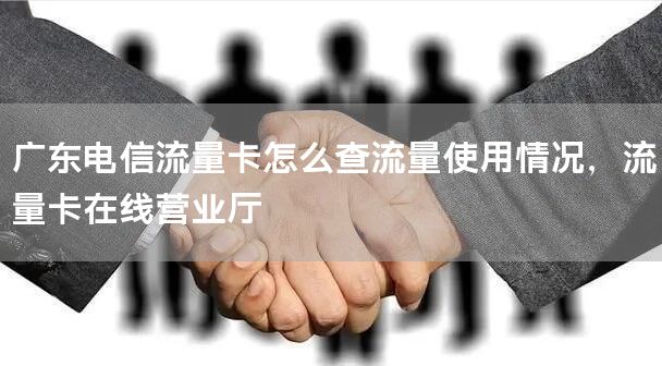 广东电信流量卡怎么查流量使用情况，流量卡在线营业厅