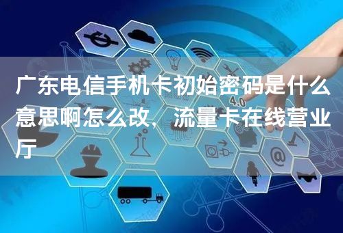广东电信手机卡初始密码是什么意思啊怎么改，流量卡在线营业厅