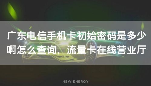 广东电信手机卡初始密码是多少啊怎么查询，流量卡在线营业厅