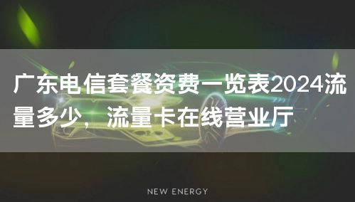 广东电信套餐资费一览表2024流量多少，流量卡在线营业厅
