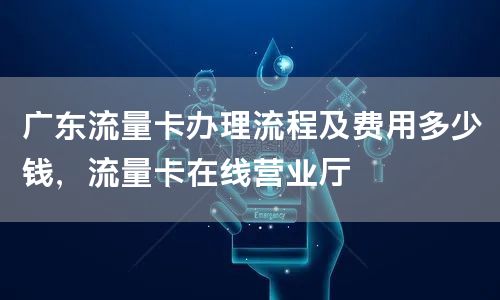 广东流量卡办理流程及费用多少钱，流量卡在线营业厅