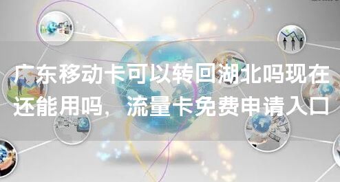 广东移动卡可以转回湖北吗现在还能用吗，流量卡免费申请入口