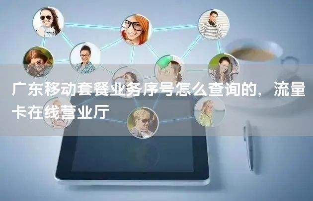 广东移动套餐业务序号怎么查询的，流量卡在线营业厅