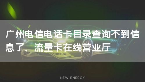 广州电信电话卡目录查询不到信息了，流量卡在线营业厅