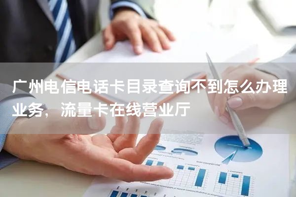 广州电信电话卡目录查询不到怎么办理业务，流量卡在线营业厅