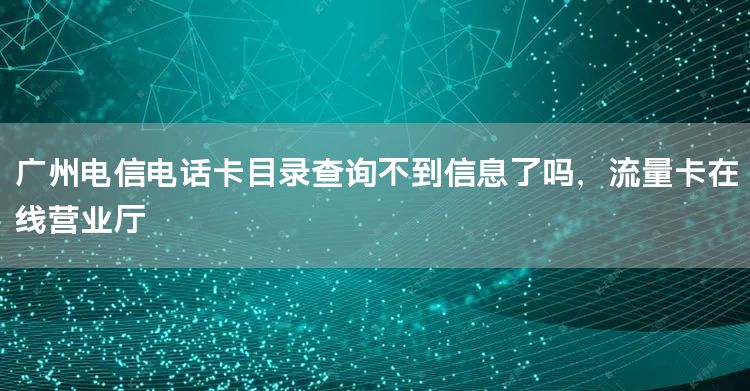 广州电信电话卡目录查询不到信息了吗，流量卡在线营业厅