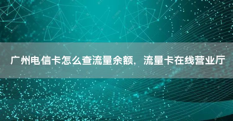 广州电信卡怎么查流量余额，流量卡在线营业厅